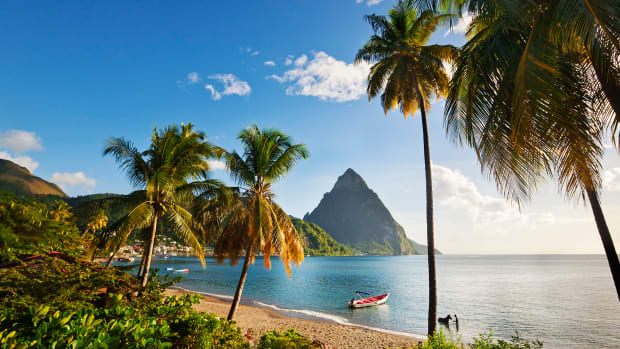 pitons-beach-palm-trees.jpg